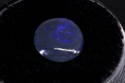 Lightning Ridge Black Opal with purple flash on a black background
