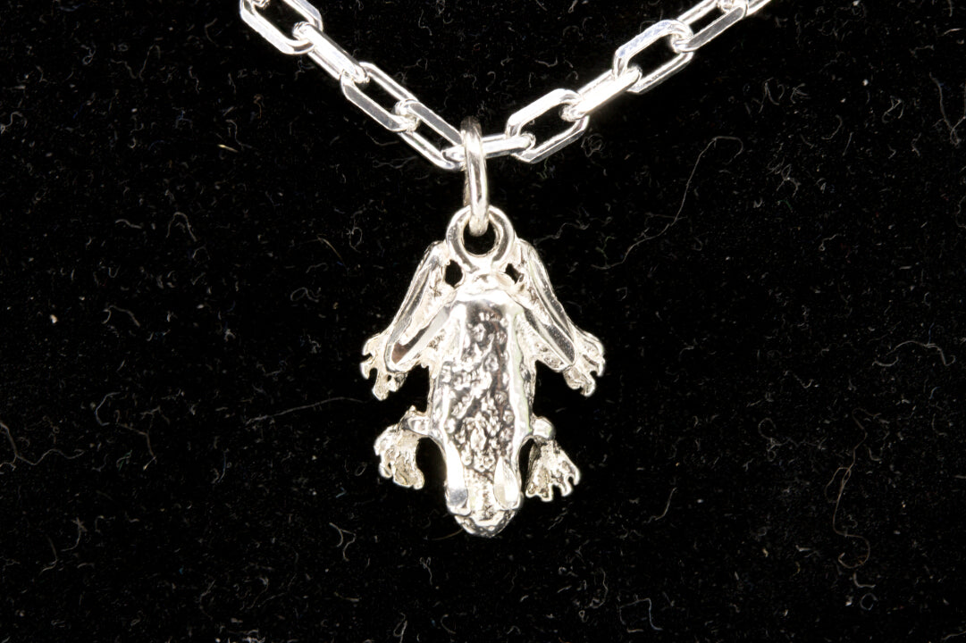 Sterling Silver Frog Pendant top Photo